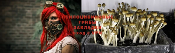 гидропоника Абдулино