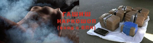 индика Ростов