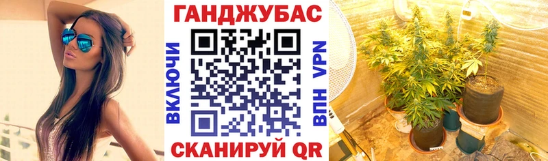 купить наркотики сайты  Карачев  Шишки марихуана гибрид 